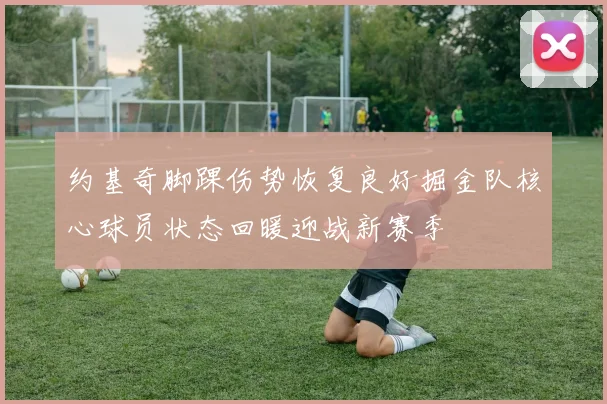 约基奇脚踝伤势恢复良好掘金队核心球员状态回暖迎战新赛季